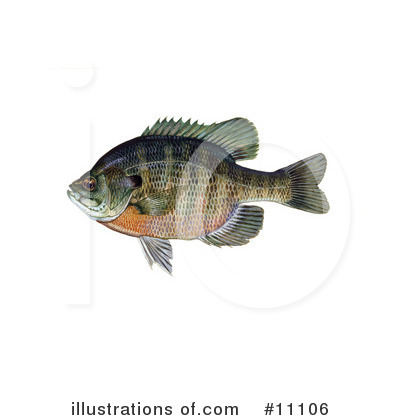 Royalty-Free (RF) Fish Clipart Illustration by JVPD - Stock Sample #11106
