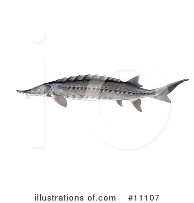 Royalty-Free (RF) Fish Clipart Illustration by JVPD - Stock Sample #11107