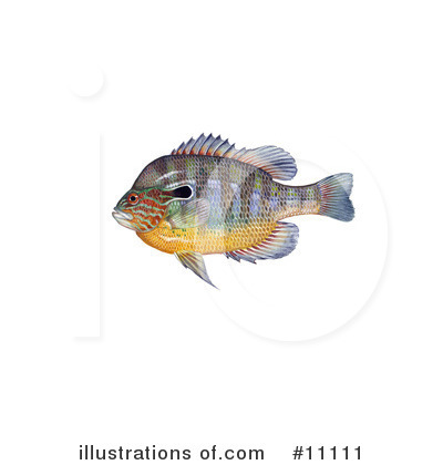 Royalty-Free (RF) Fish Clipart Illustration by JVPD - Stock Sample #11111