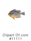 Fish Clipart #11111 by JVPD