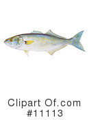 Fish Clipart #11113 by JVPD