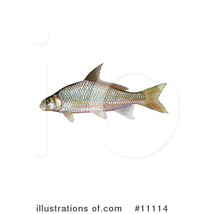 Royalty-Free (RF) Fish Clipart Illustration by JVPD - Stock Sample #11114