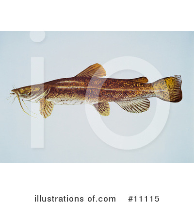 Royalty-Free (RF) Fish Clipart Illustration by JVPD - Stock Sample #11115