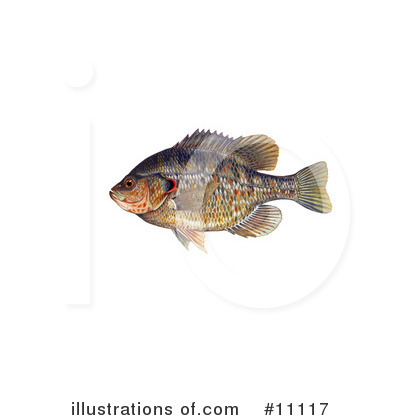 Royalty-Free (RF) Fish Clipart Illustration by JVPD - Stock Sample #11117