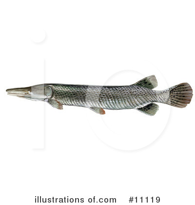 Royalty-Free (RF) Fish Clipart Illustration by JVPD - Stock Sample #11119