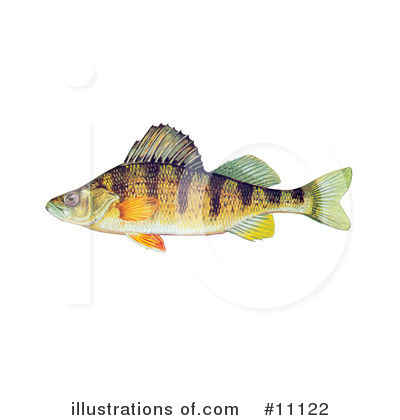 Royalty-Free (RF) Fish Clipart Illustration by JVPD - Stock Sample #11122