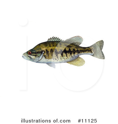 Royalty-Free (RF) Fish Clipart Illustration by JVPD - Stock Sample #11125