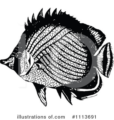 Butterfly Fish Clipart #1113691 by Prawny Vintage