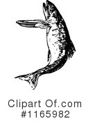 Fish Clipart #1165982 by Prawny Vintage
