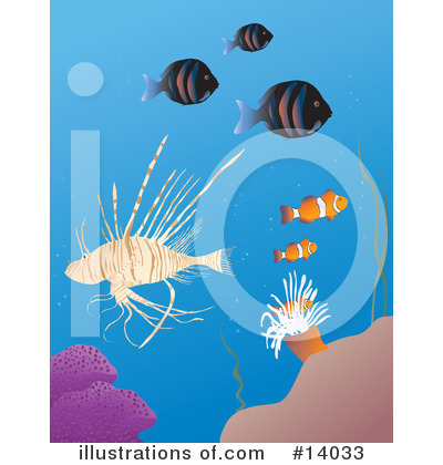 Anemone Clipart #14033 by Rasmussen Images