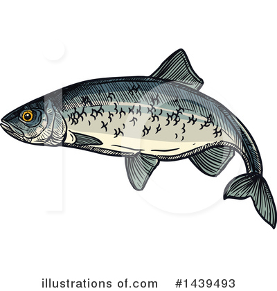 Herring Clipart #1439493 by Vector Tradition SM