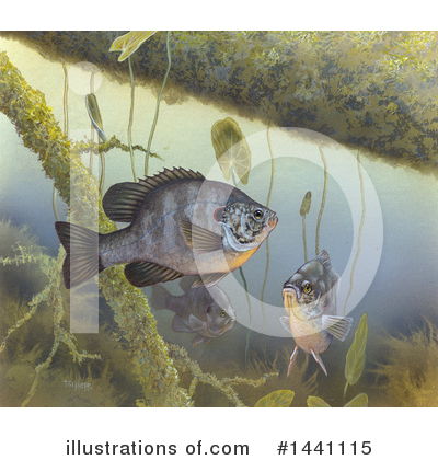 Royalty-Free (RF) Fish Clipart Illustration by JVPD - Stock Sample #1441115