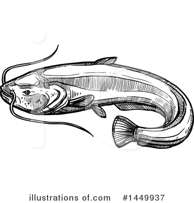 Sheatfish Clipart #1449937 by Vector Tradition SM