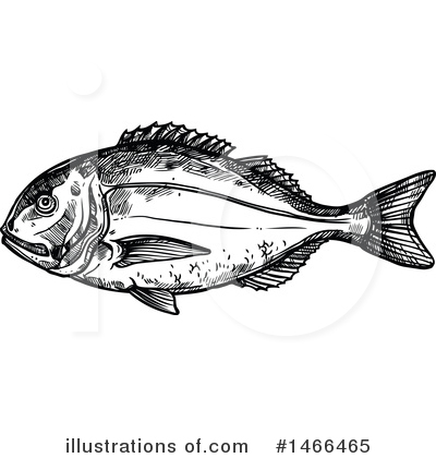 Bream Clipart #1466465 by Vector Tradition SM