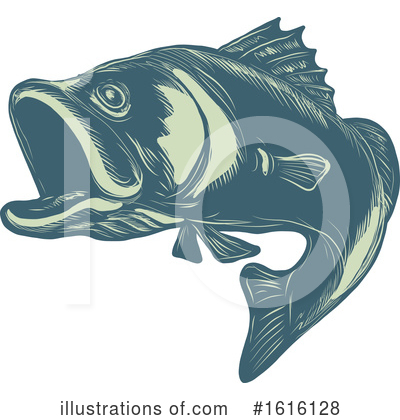 Sea Bass Clipart #1616128 by patrimonio