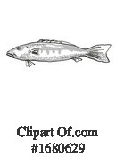 Fish Clipart #1680629 by patrimonio
