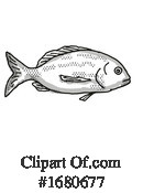 Fish Clipart #1680677 by patrimonio