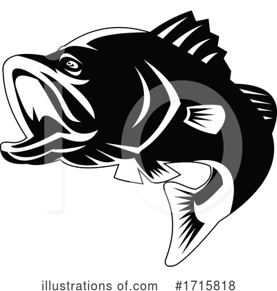 Sea Bass Clipart #1715818 by patrimonio