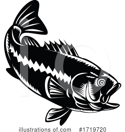 Largemouth Bass Clipart #1719720 by patrimonio