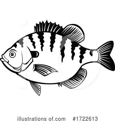 Bream Fish Clipart #1722613 by patrimonio
