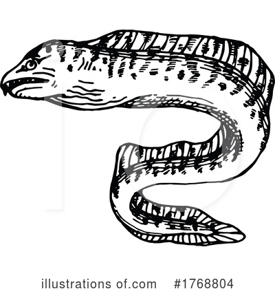 Eel Clipart #1768804 by Vector Tradition SM