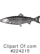 Fish Clipart #224215 by BestVector