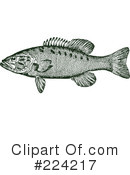 Fish Clipart #224217 by BestVector