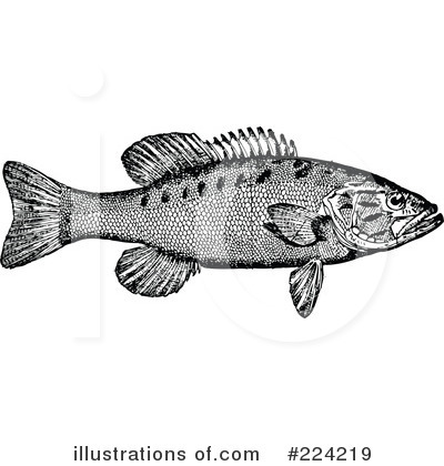 Fish Clipart #224219 by BestVector