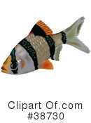 Fish Clipart #38730 by dero