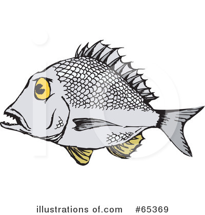 Bream Fish Clipart #65369 by Dennis Holmes Designs