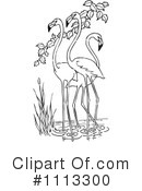 Flamingo Clipart #1113300 by Prawny Vintage