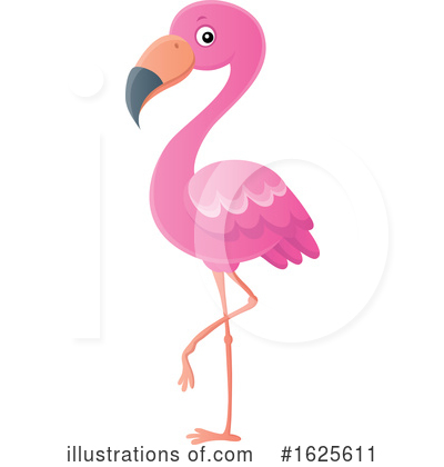 Pink Flamingo Clipart #1625611 by visekart