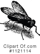 Flies Clipart #1121114 by Prawny Vintage
