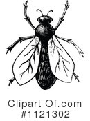 Flies Clipart #1121302 by Prawny Vintage