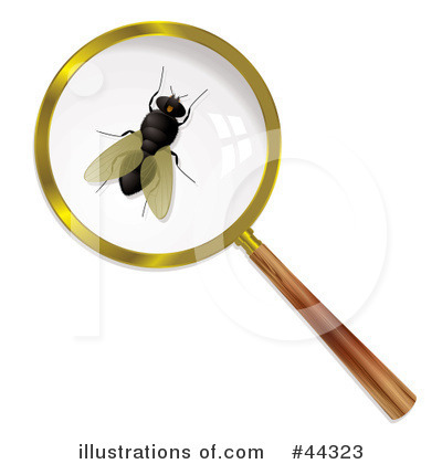 Magnifying Glass Clipart #44323 by michaeltravers