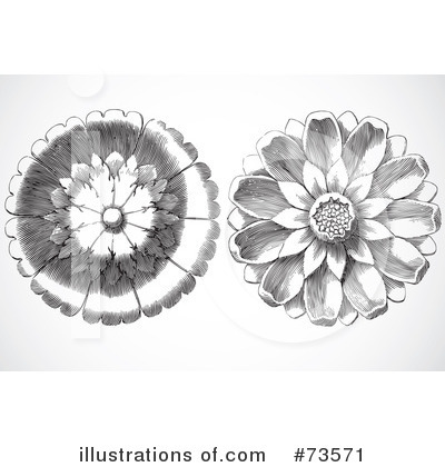 Royalty-Free (RF) Floral Clipart Illustration by BestVector - Stock Sample #73571