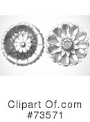 Floral Clipart #73571 by BestVector