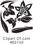 Floral Elements Clipart #52143 by dero