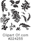 Flourish Clipart #224255 by BestVector