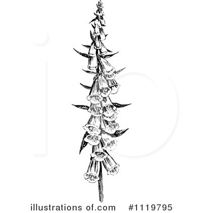 Royalty-Free (RF) Flower Clipart Illustration by Prawny Vintage - Stock Sample #1119795