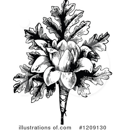 Royalty-Free (RF) Flower Clipart Illustration by Prawny Vintage - Stock Sample #1209130