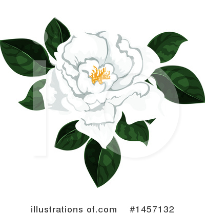 Royalty-Free (RF) Flower Clipart Illustration by Vector Tradition SM - Stock Sample #1457132