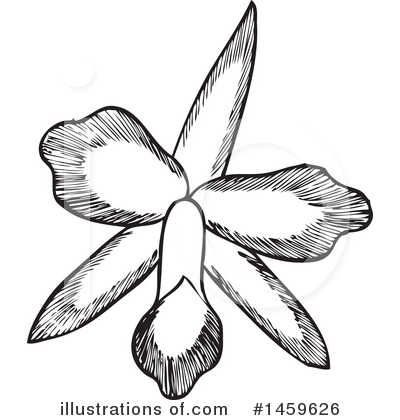 Orchid Clipart #1459626 by Cherie Reve