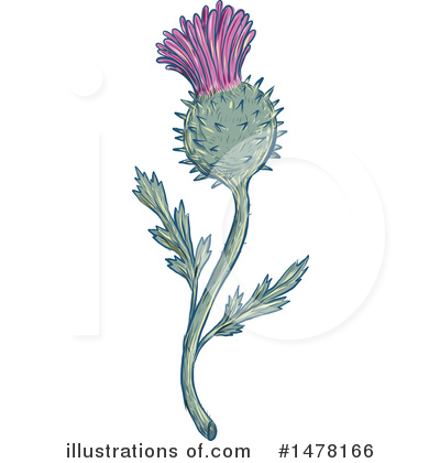 Royalty-Free (RF) Flower Clipart Illustration by patrimonio - Stock Sample #1478166