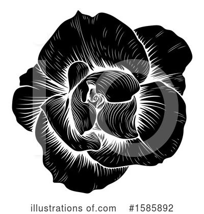 Royalty-Free (RF) Flower Clipart Illustration by AtStockIllustration - Stock Sample #1585892