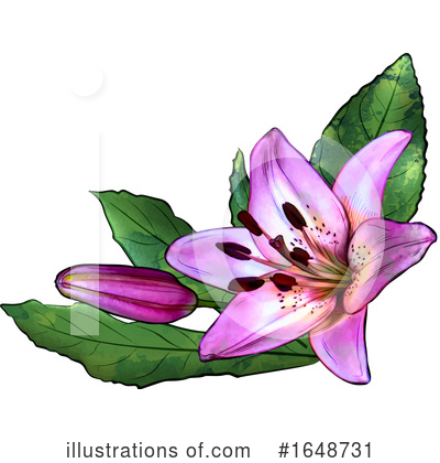 Royalty-Free (RF) Flower Clipart Illustration by dero - Stock Sample #1648731