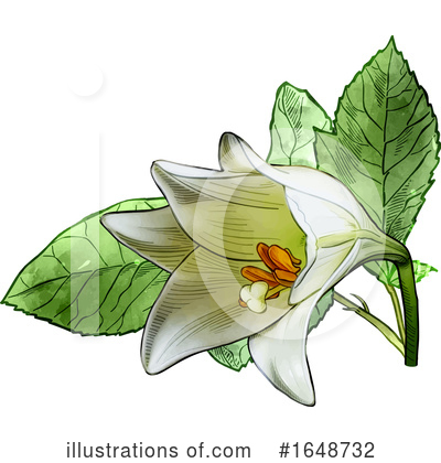 Royalty-Free (RF) Flower Clipart Illustration by dero - Stock Sample #1648732