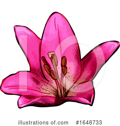 Royalty-Free (RF) Flower Clipart Illustration by dero - Stock Sample #1648733