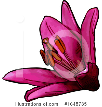 Royalty-Free (RF) Flower Clipart Illustration by dero - Stock Sample #1648735