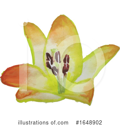 Royalty-Free (RF) Flower Clipart Illustration by dero - Stock Sample #1648902
